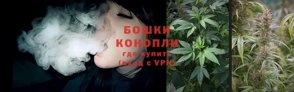 ПСИЛОЦИБИНОВЫЕ ГРИБЫ Балахна