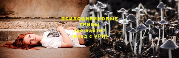 ПСИЛОЦИБИНОВЫЕ ГРИБЫ Балахна