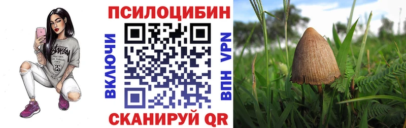 кракен зеркало  Бобров  Псилоцибиновые грибы Psilocybe 