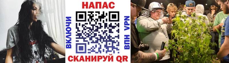 Бошки Шишки THC 21% Бобров